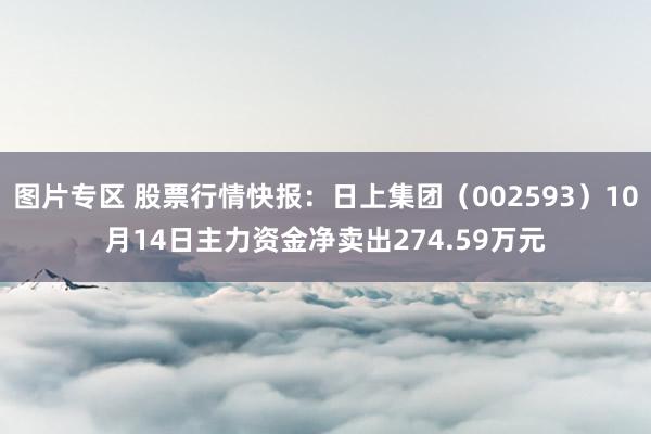 图片专区 股票行情快报：日上集团（002593）10月14日主力资金净卖出274.59万元