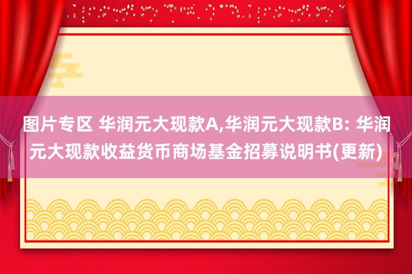 图片专区 华润元大现款A,华润元大现款B: 华润元大现款收益货币商场基金招募说明书(更新)