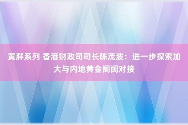 黄胖系列 香港财政司司长陈茂波：进一步探索加大与内地黄金阛阓对接