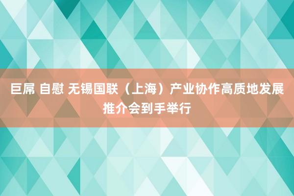 巨屌 自慰 无锡国联（上海）产业协作高质地发展推介会到手举行